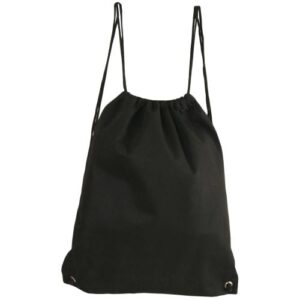 The Budget Backpack