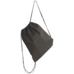 The Budget Backpack