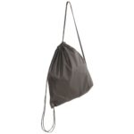 The Polyester Backpack