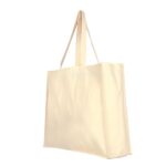 The Nonwoven Shopping Bag