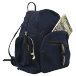 The College Backpack