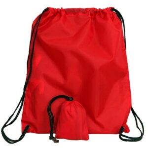 The Folding Backpack