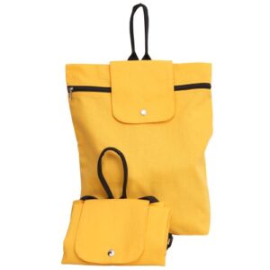 The Fold Up Backpack