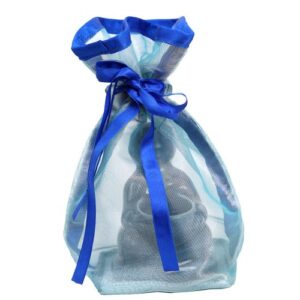 The Tissue Gift Bag
