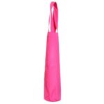 The Economical Wine Bag
