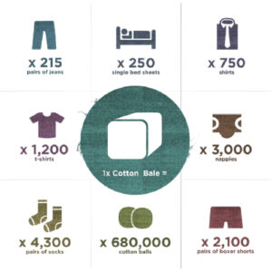 the-future-is-cotton